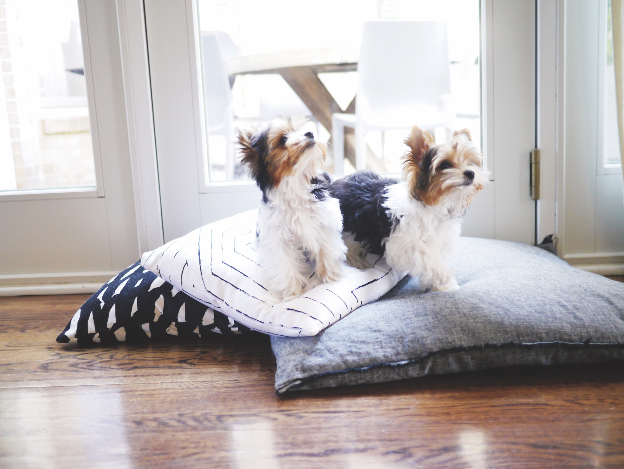 beautiful hardwood floors