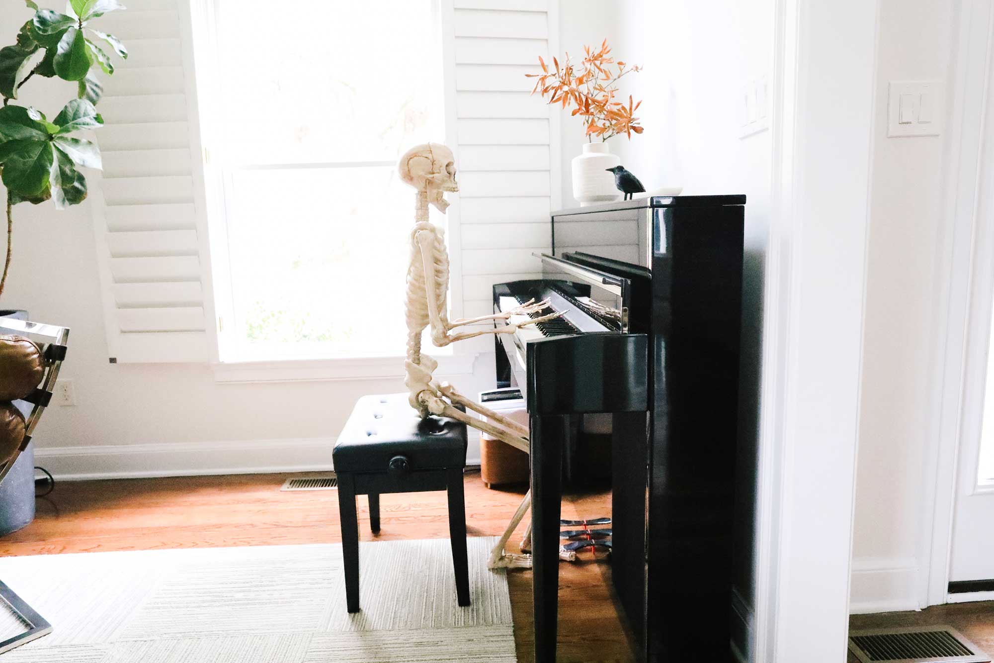 decorating with skeletons