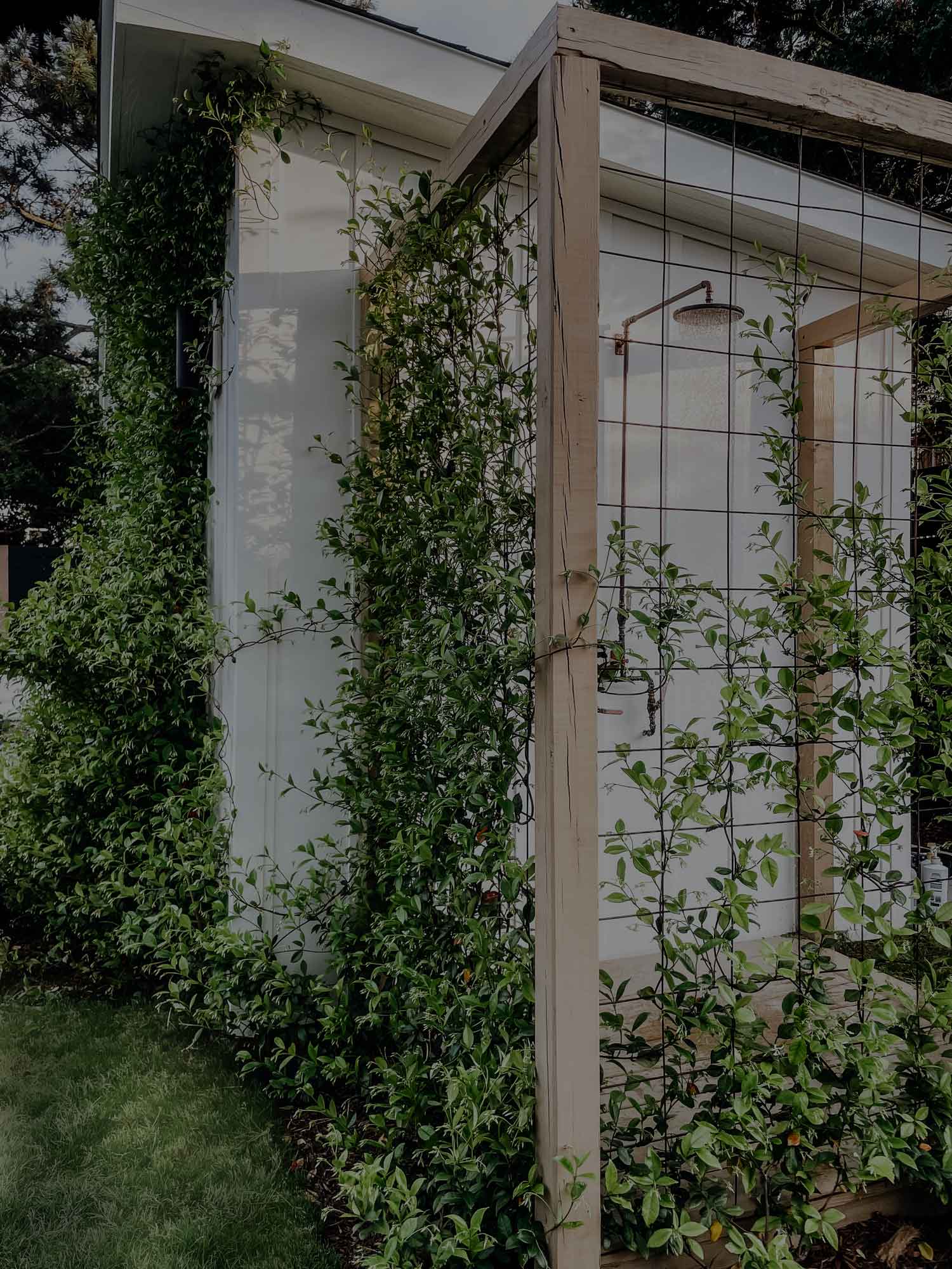 beach outdoor shower design with climbing vines beach outdoor shower design with climbing vines